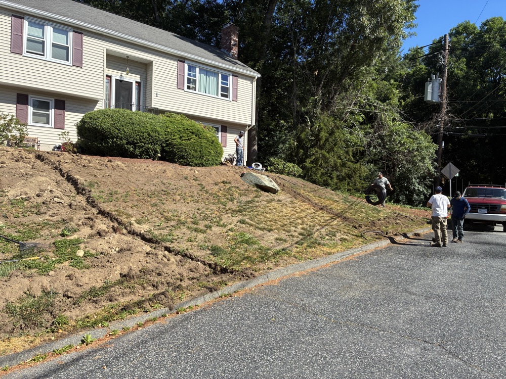 Striped front lawn beside a paved driveway