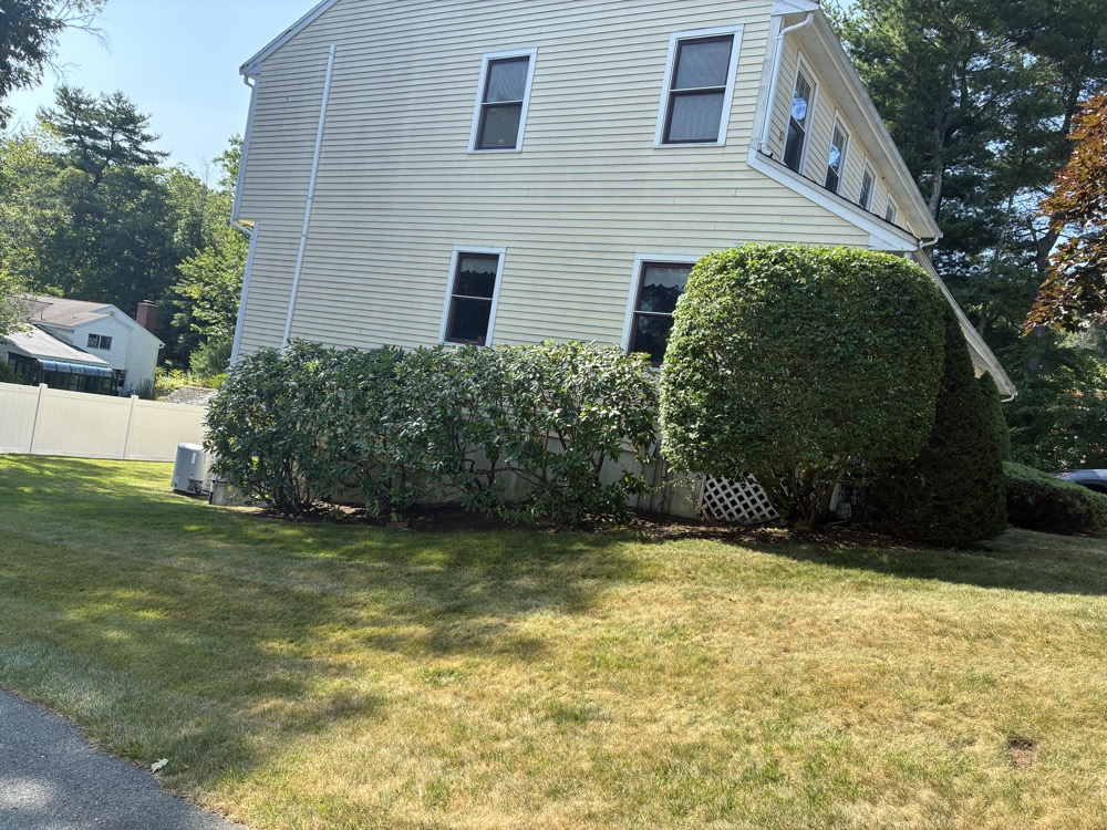 Freshly pruned hedge in front of a home